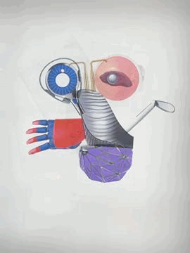 Interactive Activity