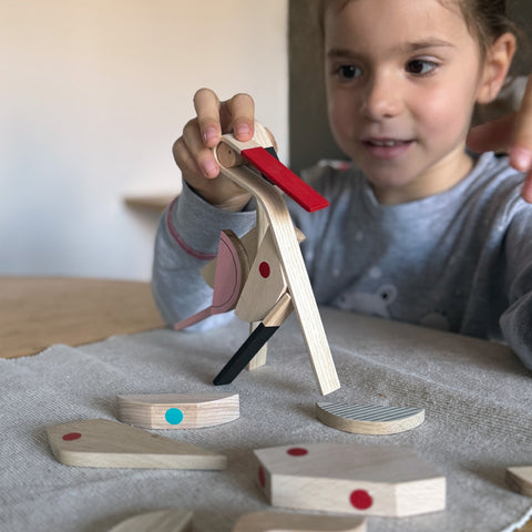 Birdies Wooden Magnetic Toys