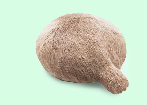 Curator's Favourites