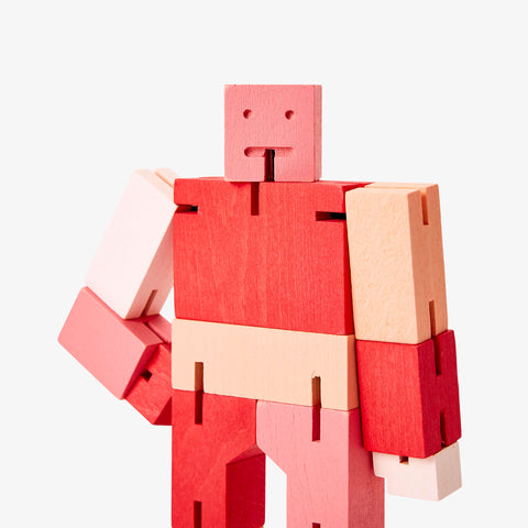 Cubebot Capsule Red Multi (Small)
