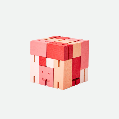 Cubebot Capsule Red Multi (Small)