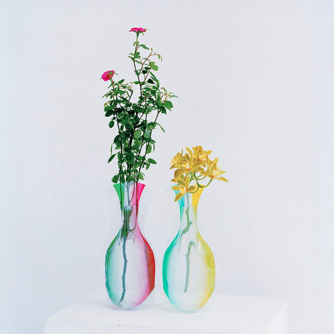 Vertical gradient flower vase design with colours on each side showing a clear view of the plant in the middle