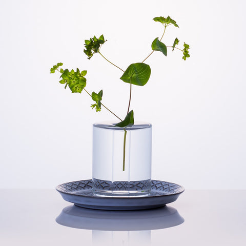 A single stalk of leaf plant giving the impression of floating in Shallows crystal glass vase