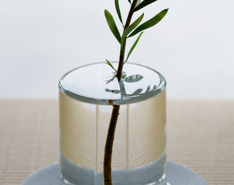 Shallows glass vases once filled with water gives the impression of a floating plant
