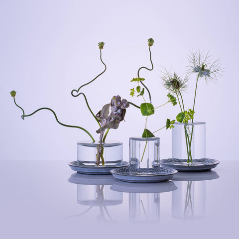 Industry Plus Shallow crystal glass vases with three different sizes showcasing vase, plant and water combining into one form