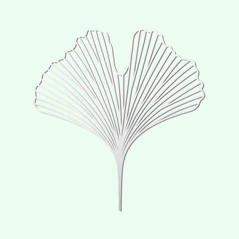 Stainless Steel Brooch - Ginkgo