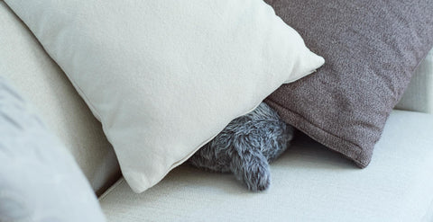 A grey petit Qoobo on a sofa hiding among pillows only showing its tail