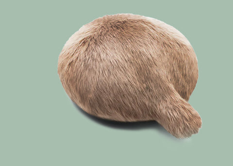 Curator's Favourites