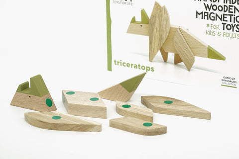 Game of Dinosaurs Magnetic Wooden Toys