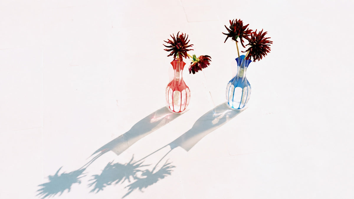 Two small faceted D-Bros vinyl vases, one pink and one blue, holding dark red flowers, casting long shadows on a bright white background.