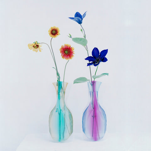 Flower Vase (Gradient)