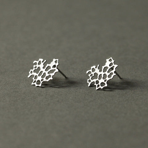 Stainless Steel Earrings - Weathered Rock